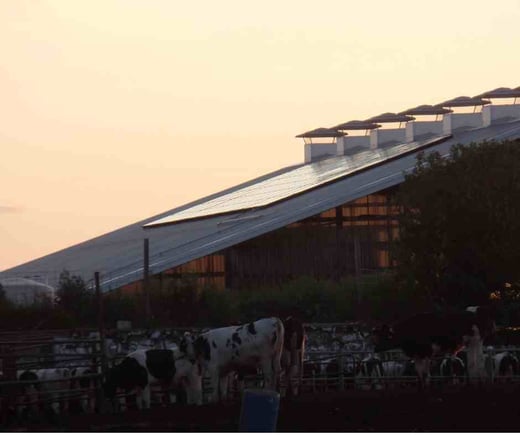 Breitenmoser Family Farms Solar Array